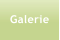 Galerie